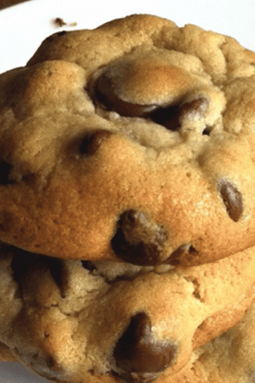 Soft Chocolate Chip Cookie 