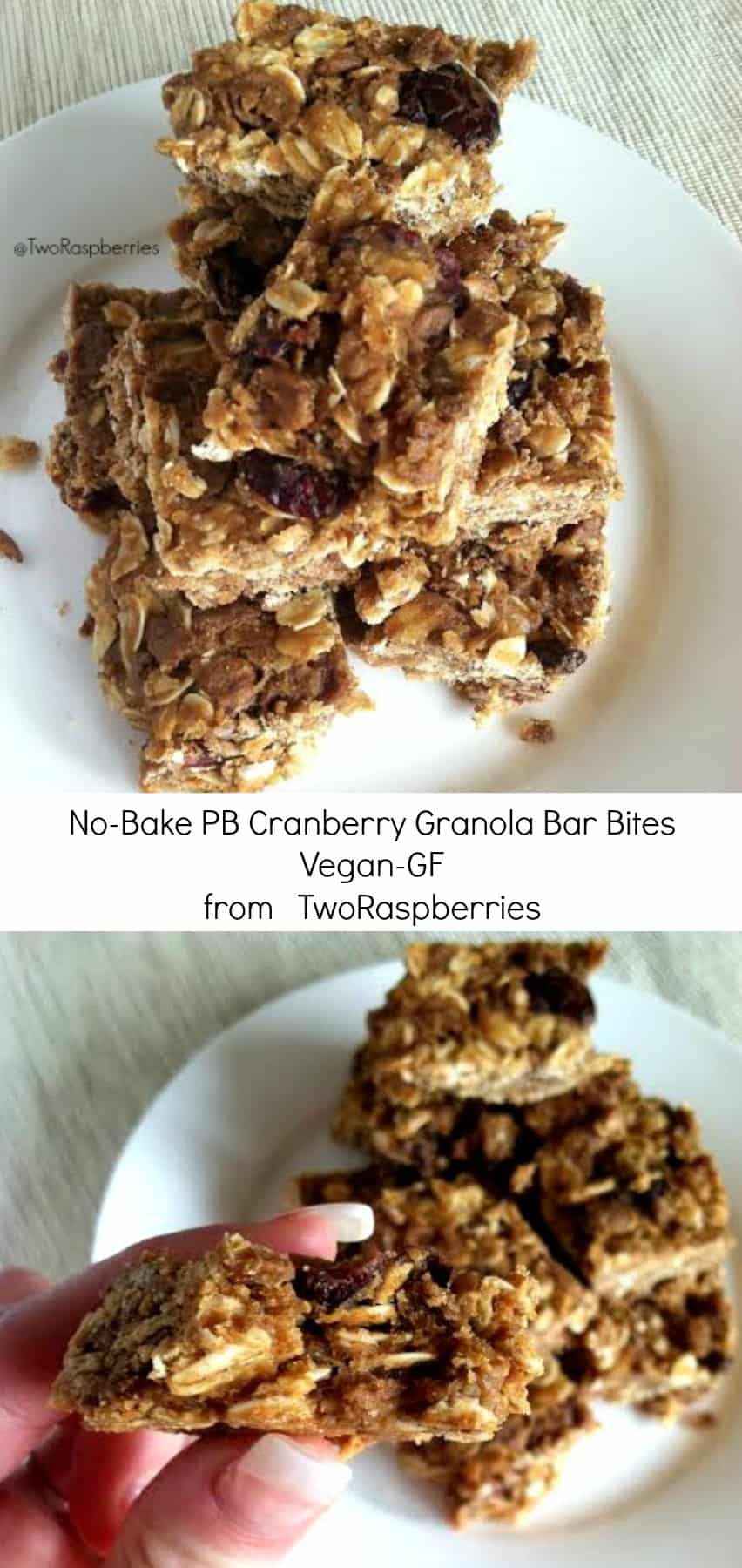 No-Bake PB Cranberry Granola Bar Bites