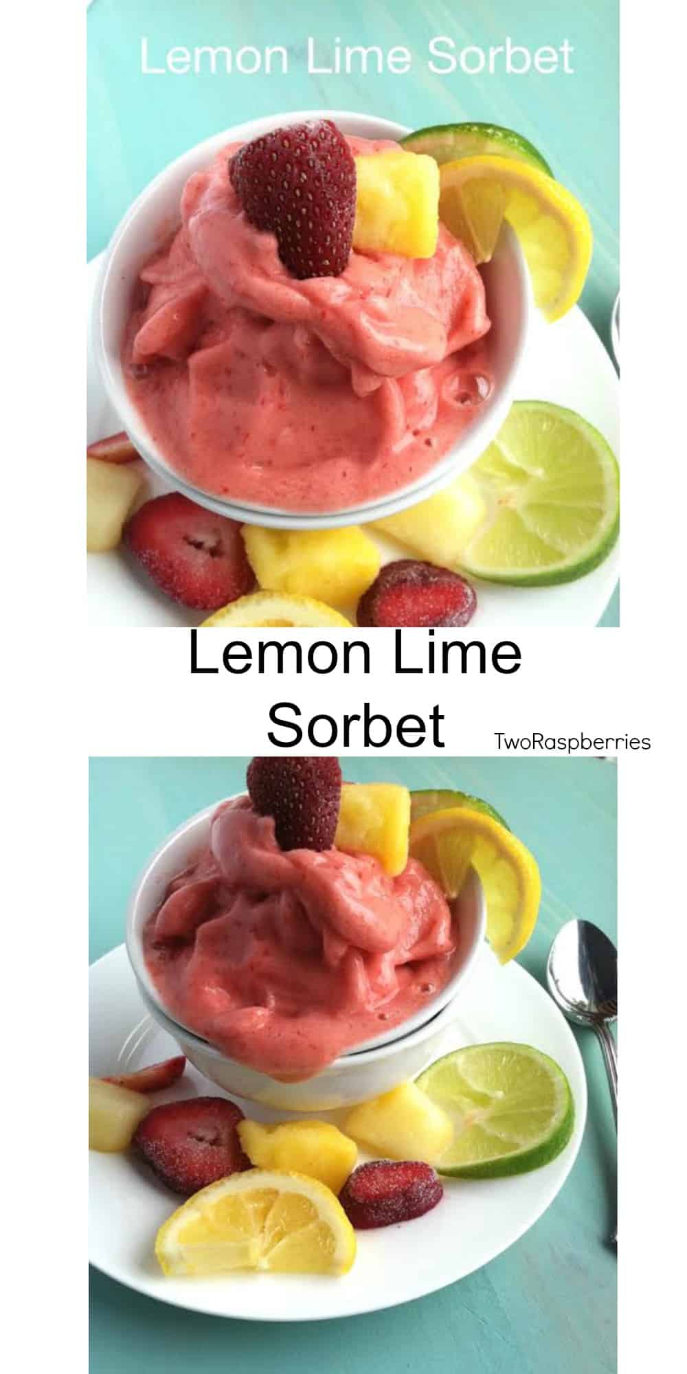 Healthy Easy Lemon Lime Sorbet 