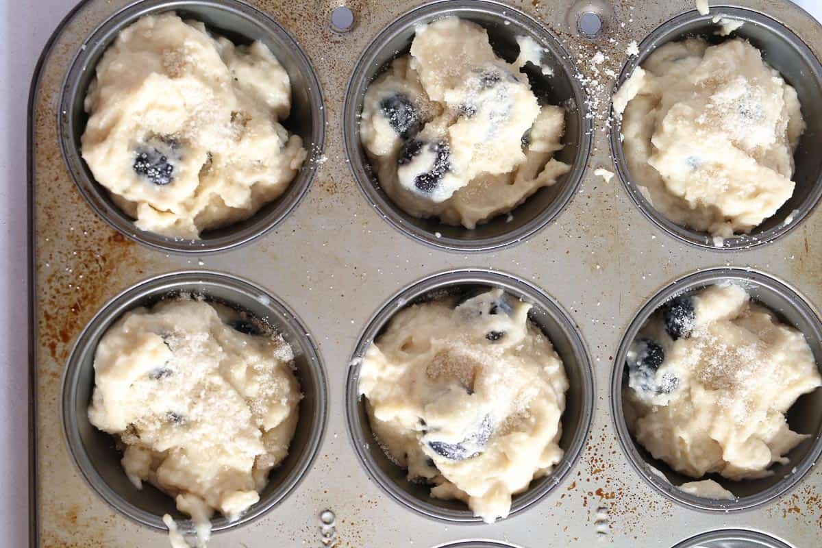 Vegan Blueberry Muffins in baking pan ready to be baked.