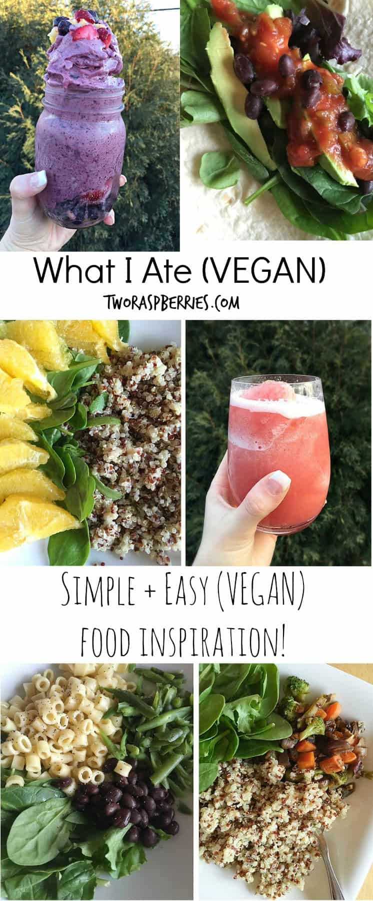 simple and easy food inspiration! "What I Ate" is easy to prepare things I ate this week to spark ideas for you! eating vegan doesn't need to be complicated / TwoRaspberries.com