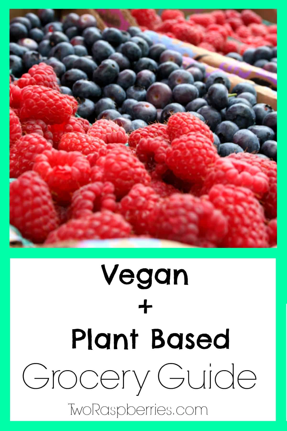 vegan plant based grocery guide / TwoRaspberries.com