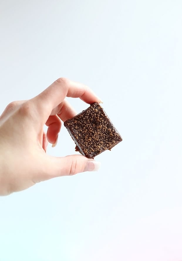 These 3 Ingredient No Bake Vegan Brownies are quick and easy to make! vegan, gluten free and refined sugar free! great snack or dessert! / TwoRaspberries.com