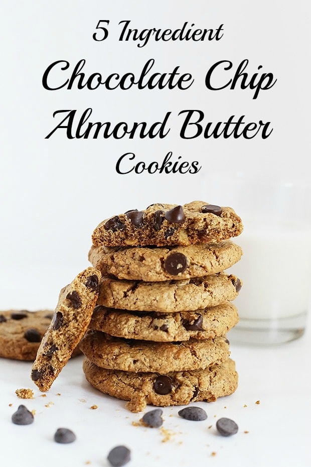  5 Ingredient Chocolate Chip Almond Butter Oat Cookies are super easy to make, only require 1 bowl and they are vegan plus gluten free! / TwoRaspberries.com