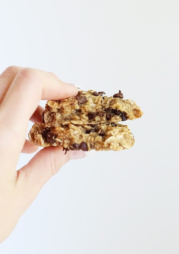  Healthy Chocolate Chip Banana Bread Breakfast Cookies are super filling, easy to make, tastes just like banana bread and only requires 7 ingredients. Vegan and Gluten Free. / TwoRaspberries.com