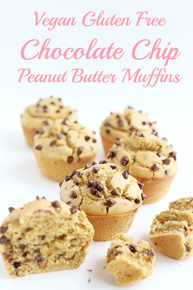 These Vegan Gluten Free Chocolate Chip Peanut Butter Muffins are super quick and easy to make. Light, fluffy, and moist textured. / TwoRaspberries.com