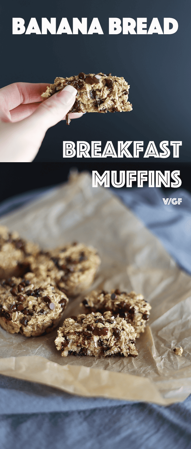 These Banana Bread Breakfast Muffins are super healthy! Made with Oats and sweetened with maple syrup and chocolate chips! Vegan and Gluten Free! | TwoRaspberries.com