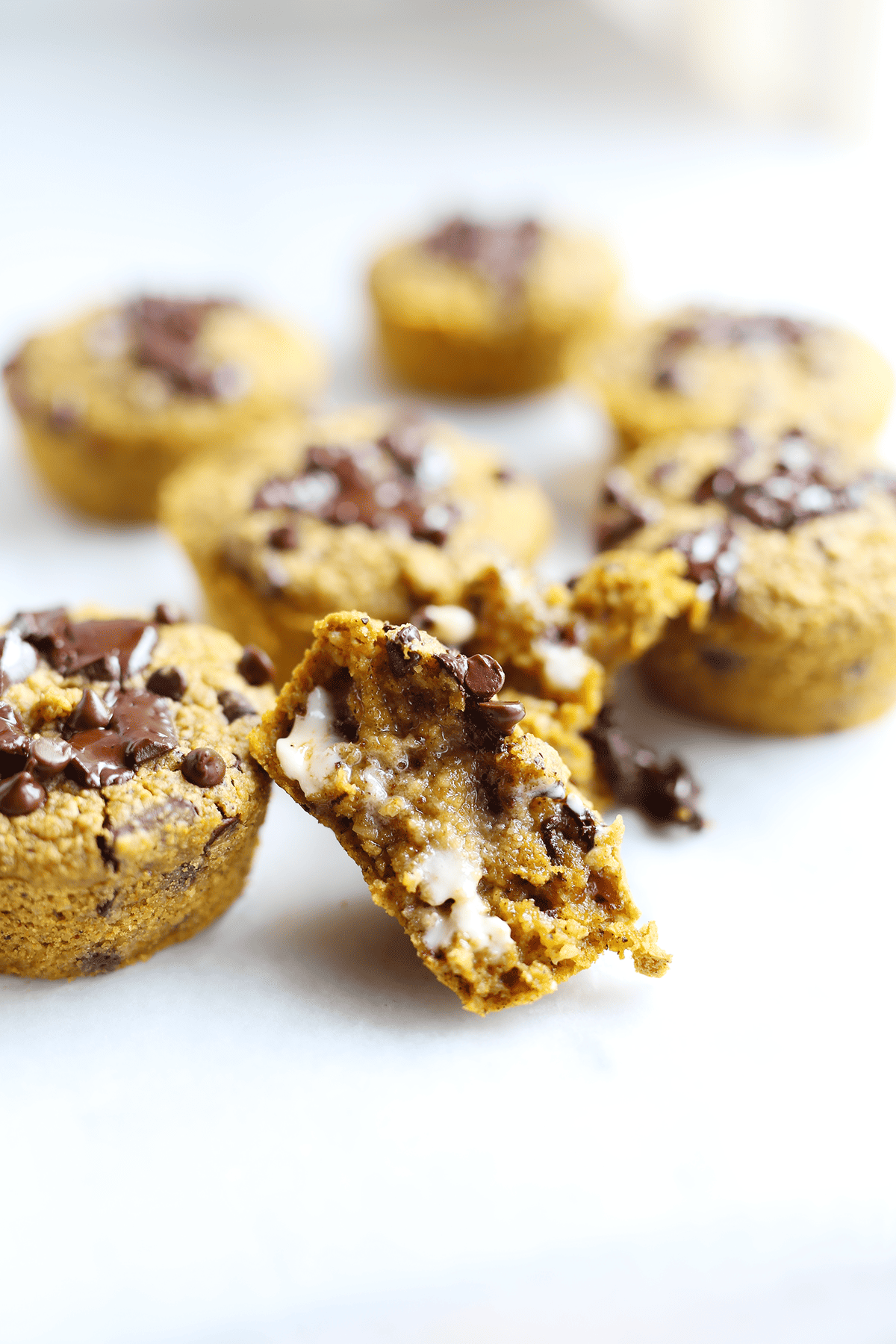 Chocolate Chunk Pumpkin Spice Muffins made with oat flour, and naturally sweetened with pure maple syrup, quick and easy to make, vegan and gluten free! 