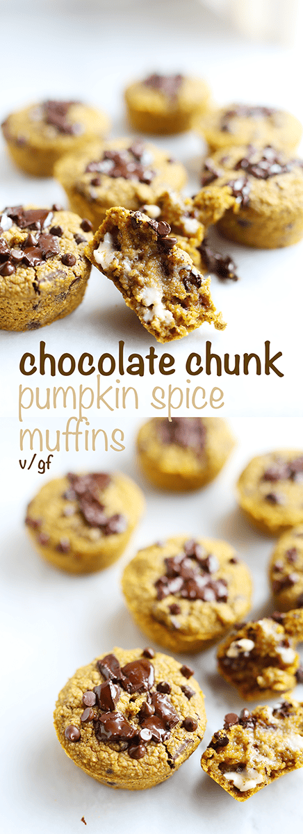 Chocolate Chunk Pumpkin Spice Muffins made with oat flour, and naturally sweetened with pure maple syrup, quick and easy to make, vegan and gluten free! 