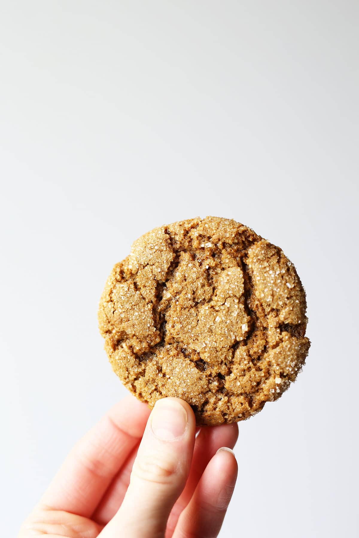 These easy homemade Chewy Ginger Molassas Cookies are vegan, have crispy edges with soft and chewy centers and are totally YUM! 