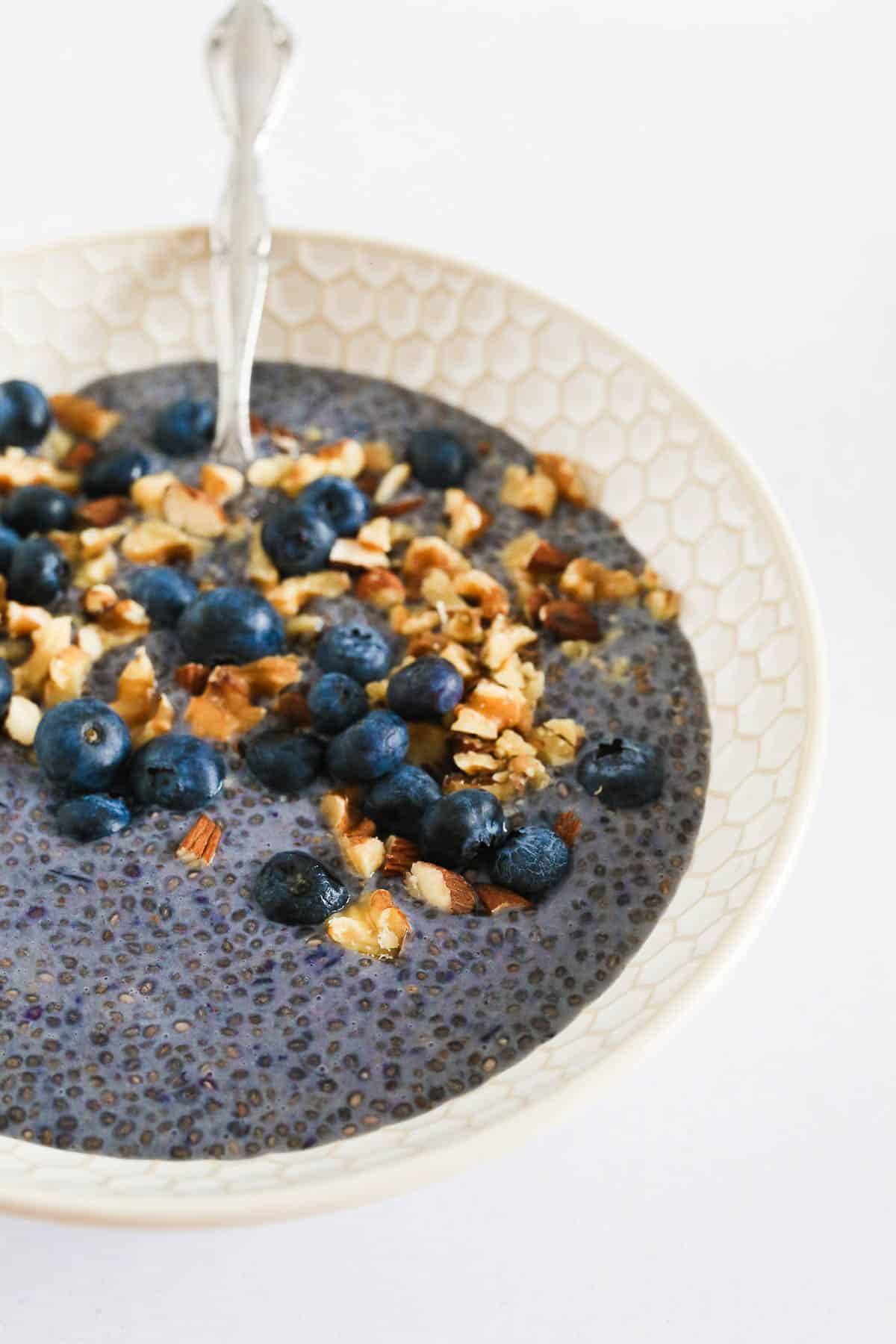 Side view image of Blueberry Chia Pudding in a bowl with blueberry and nut toppings.