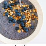 Pinterest image of Blueberry Chia Pudding with words text title.