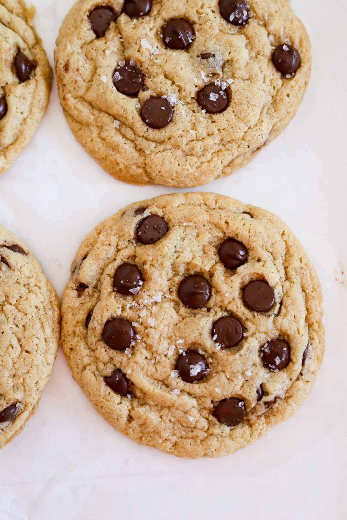 Close up top view of a Crispy Chocolate Chip Cookie studded with chocolate chips.