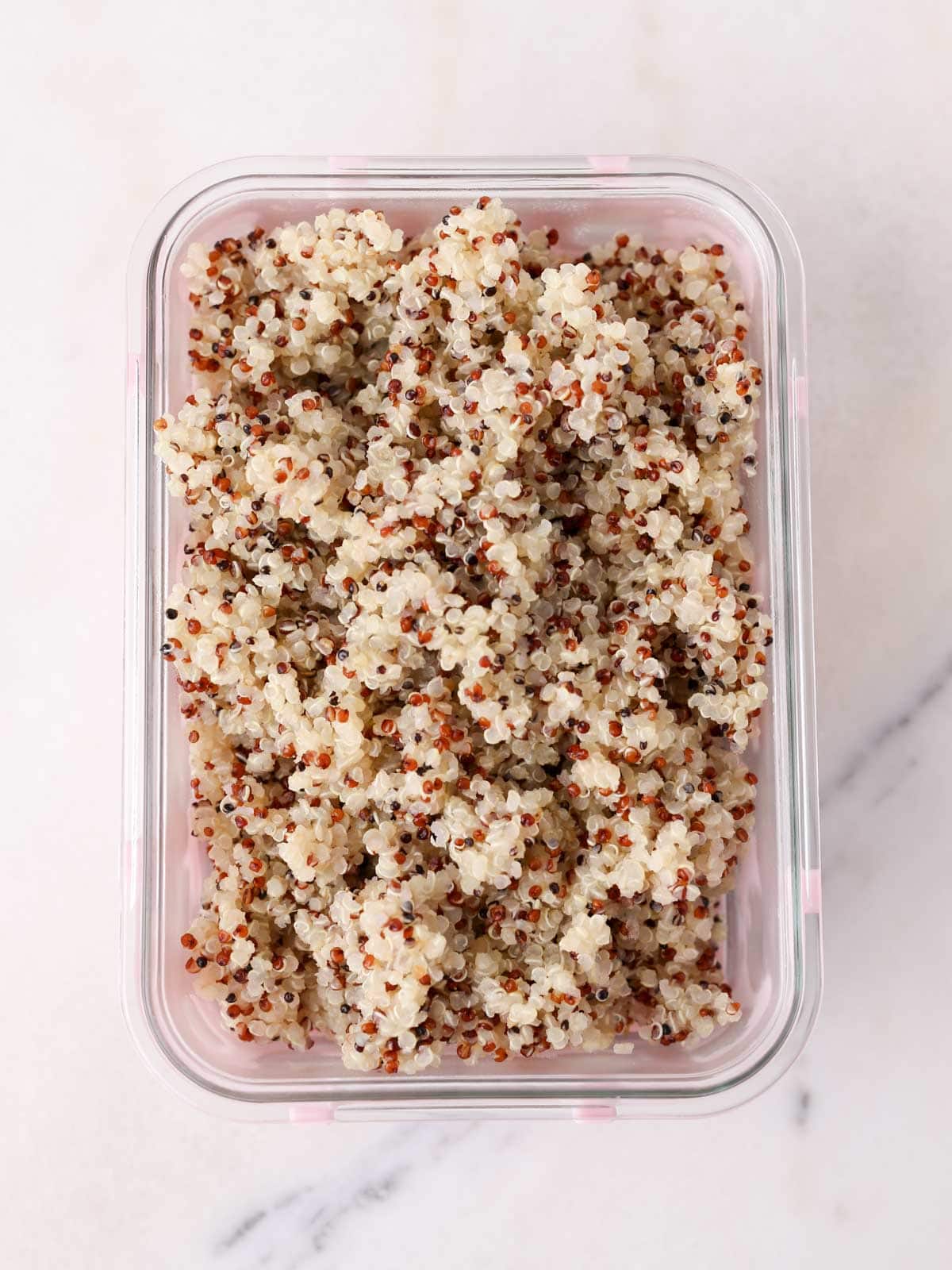 Quinoa cooked in a storage container.