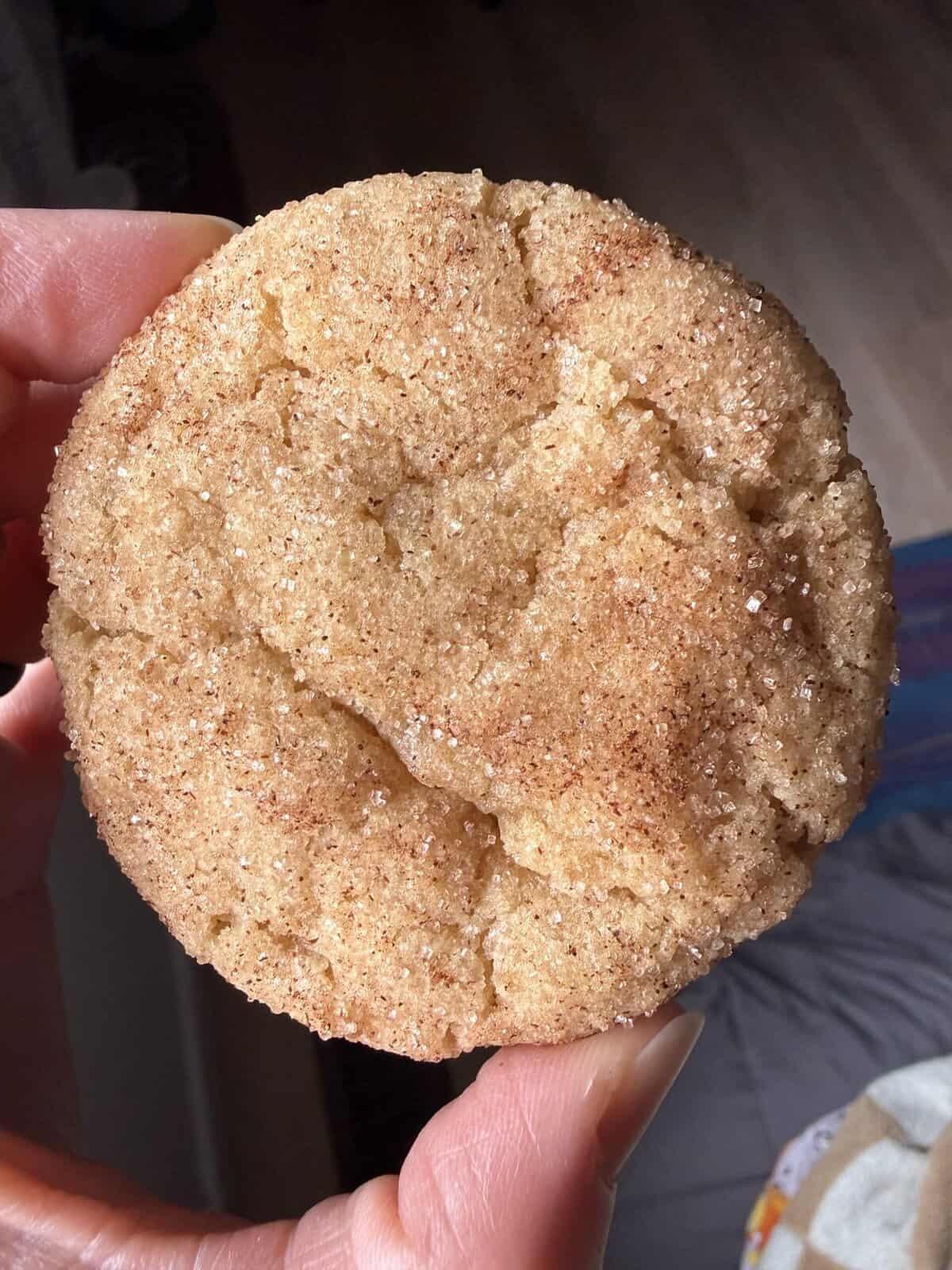 iPhone picture of vegan snickerdoodle.